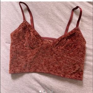 Maroon Free People Velvet Crop Top